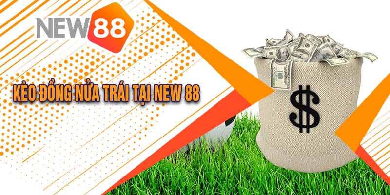 Kèo Chấp Đồng Nửa Trái Là Gì? Hướng Dẫn Cách Chơi Đơn Giản Tại Neu88 2 kèo đồng nửa trái tại New 88